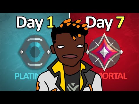 I INSTALOCKED Phoenix for 7 Days...