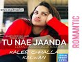 Tu Nae Jaanda NEW LYRICS LOVE SONG Kaler Chhalla Satnam Himanshi KHURANA Djpunjab Wapmight