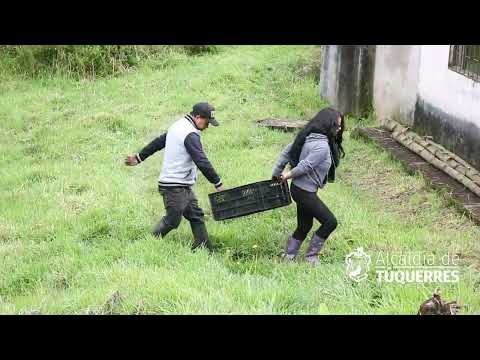 Cuidado y protección del medio ambiente. (Túquerres- Nariño)