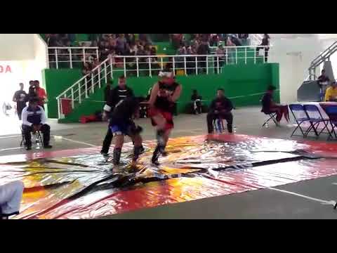 Pelea amateur de kick boxing