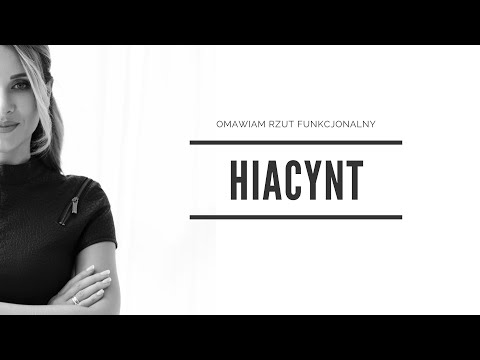 HIACYNT MG Projekt - rzut funkcjonalny
