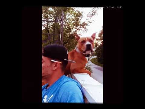 Video thumbnail f4TJiO4h-Mg