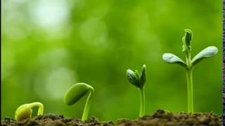 Навчаємося дистанційно