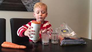 BarnTeknik- Morot i saltvatten experiment