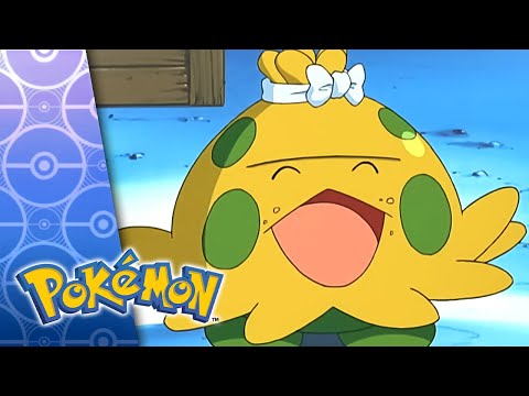 Taming of the Shroomish | POKÉMON FULL EPISODE 9 | Season 6