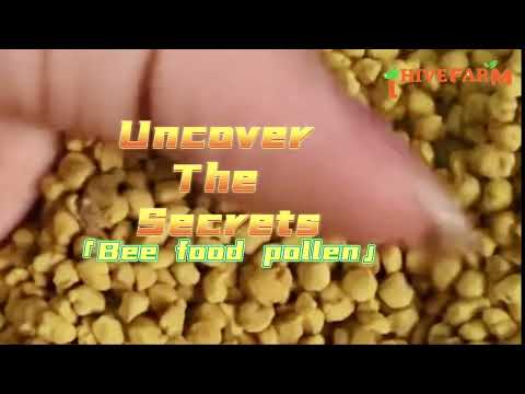 How Do Beekeepers Harvest Bee Pollen?Uncovering the Process of Collecting High-Quality Pollen#bee