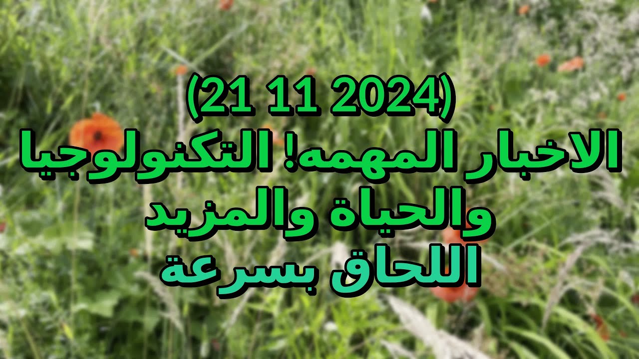أخبار من 2024 11 21 الرسوم البيانية التكنولوجيا الحياة الترفيه الصحة البيئة HD