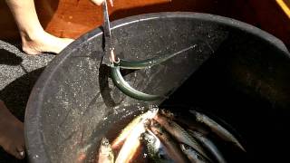 Download lagu Talk to him!! mp3 Download lagu Talk to him!! mp3