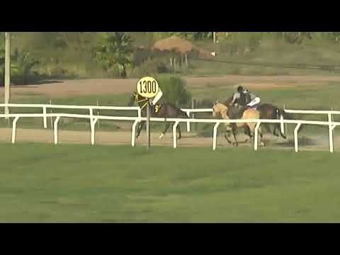 HIPODROMO SINT FLORIDA - 220421 c08 1° STORM CLASICO