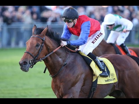 München: Pastorius-Großer Preis von Bayern (Gruppe 1) - Sieger: Ivanhowe