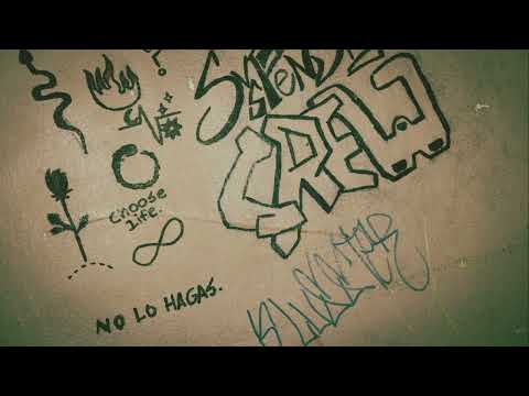 LOPHURA NYCTHEMERA - H.KALDEE