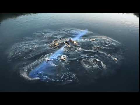 Cgi Vfx Spot Hd: «Humminbird 360» By - Make