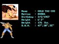 쾌타지존 Fatal Encounter Super Fighter 김태극 金太極 King Tai Chi 골드 타이 치 Gold T