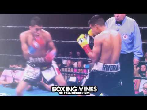 Barrios vs Rivera Boxing Vines l vk com boxingvines