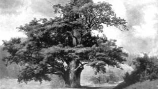 Igric - Spomienky Starého Dubu