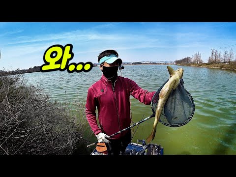 결국 만났습니다....