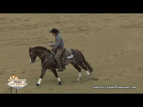 Brother Jackson ridden by Zane P. Davis  - 2019 NRCHA Stallion Stakes (Rein Work, Open Bridle Spec.)