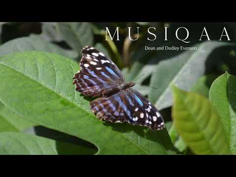 Dean and Dudley Evenson ⋄ Meditation Moods ⋄ Soothing ⋄ Healing ⋄ Yoga ⋄ Peace ⋄ Tranquillity