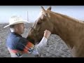 Teaching Your Horse to Bow - with video!