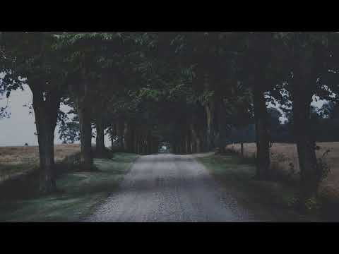 Instrumental Music and Khong Loi Nhac