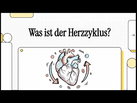 Was ist der Herzzyklus? | EINFACH ERKLÄRT
