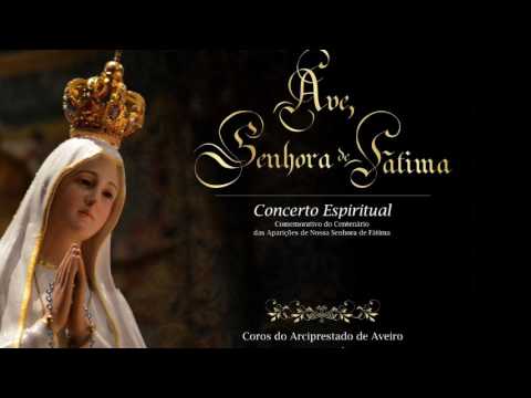 Totus Tuus, Maria video