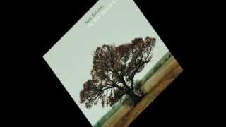 Sam Roberts Band - &quot;On the Run&quot; - We Were Born In a Flame.