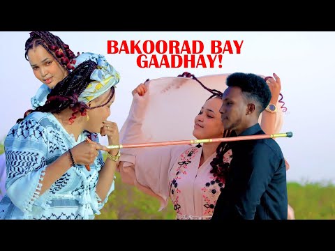 IDIL AYRUUSH VS ABDIWALI HASSAN | DHAANTO CUSUB |  DIB U JOOGSO | BEST DAADIS | MUSIC VIDEO 2022