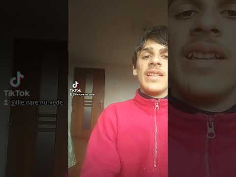 recapitulare limba română