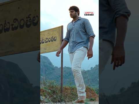 NeeChoopula (Song)