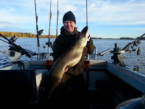 vetouistelu kausi 2015