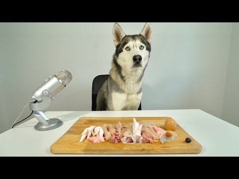 we feed raw discount code