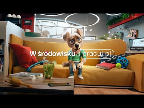 W środowisku Pracuj.pl - Dwa patyki
