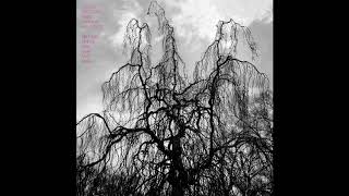 Colin Stetson and Sarah Neufeld - Never Were The Way She Was 2015 experimental jazz avant-garde