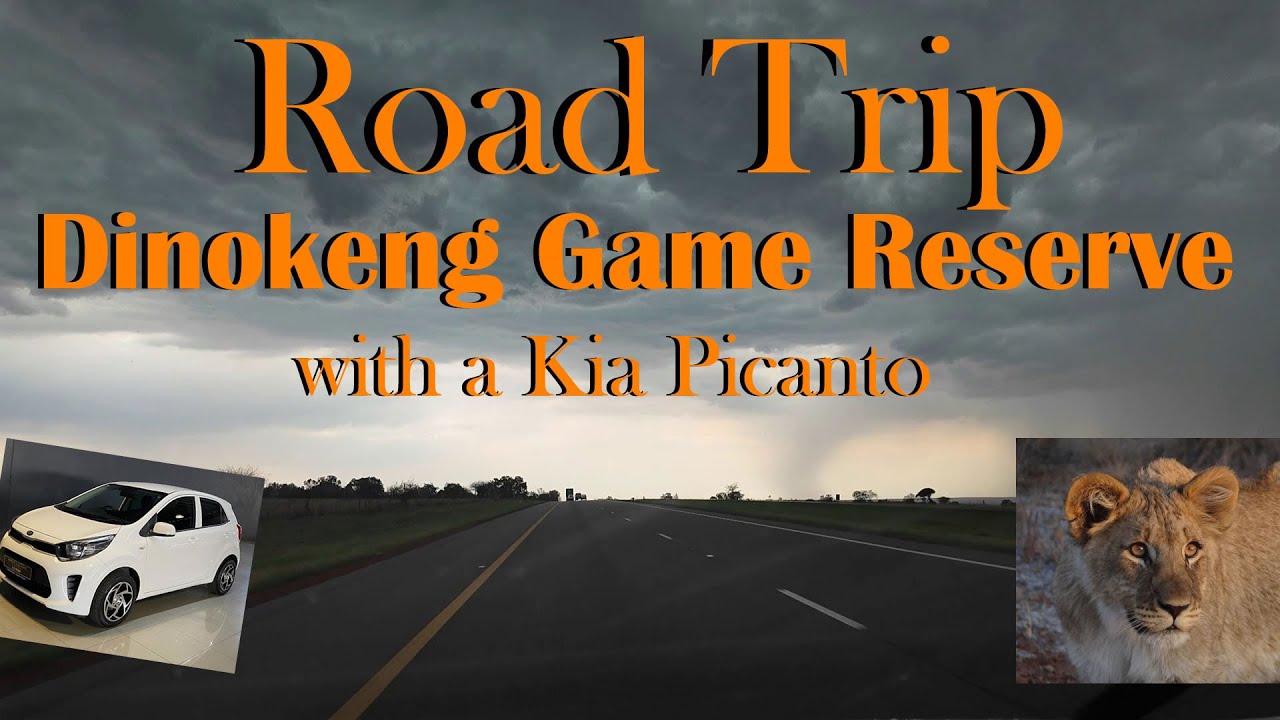 Road Trip | Dinokeng game reserve Pretoria | Kia Picanto  | Lookout safari hammanskraal