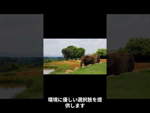 環境を保護するための代替エネルギー: だからこそ有害になる可能性もあります