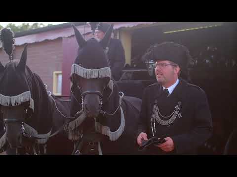 Fotoshoot bij het inspannen van de rouwkoets. www.stalhouderijhazeleger.nl
