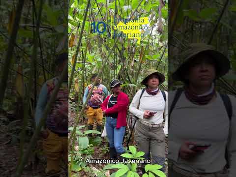 AlterCultivas - Puerto Guzmán, Putumayo,