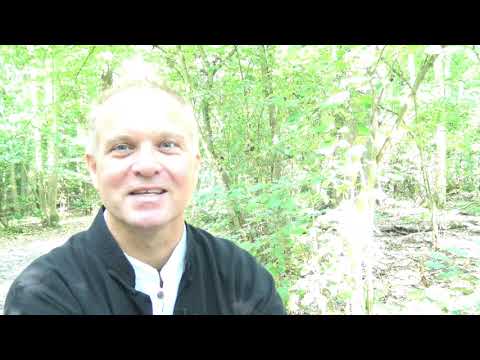 La voie du TAO ...Quelles sont les erreurs dans la pratique du Qi-Gong