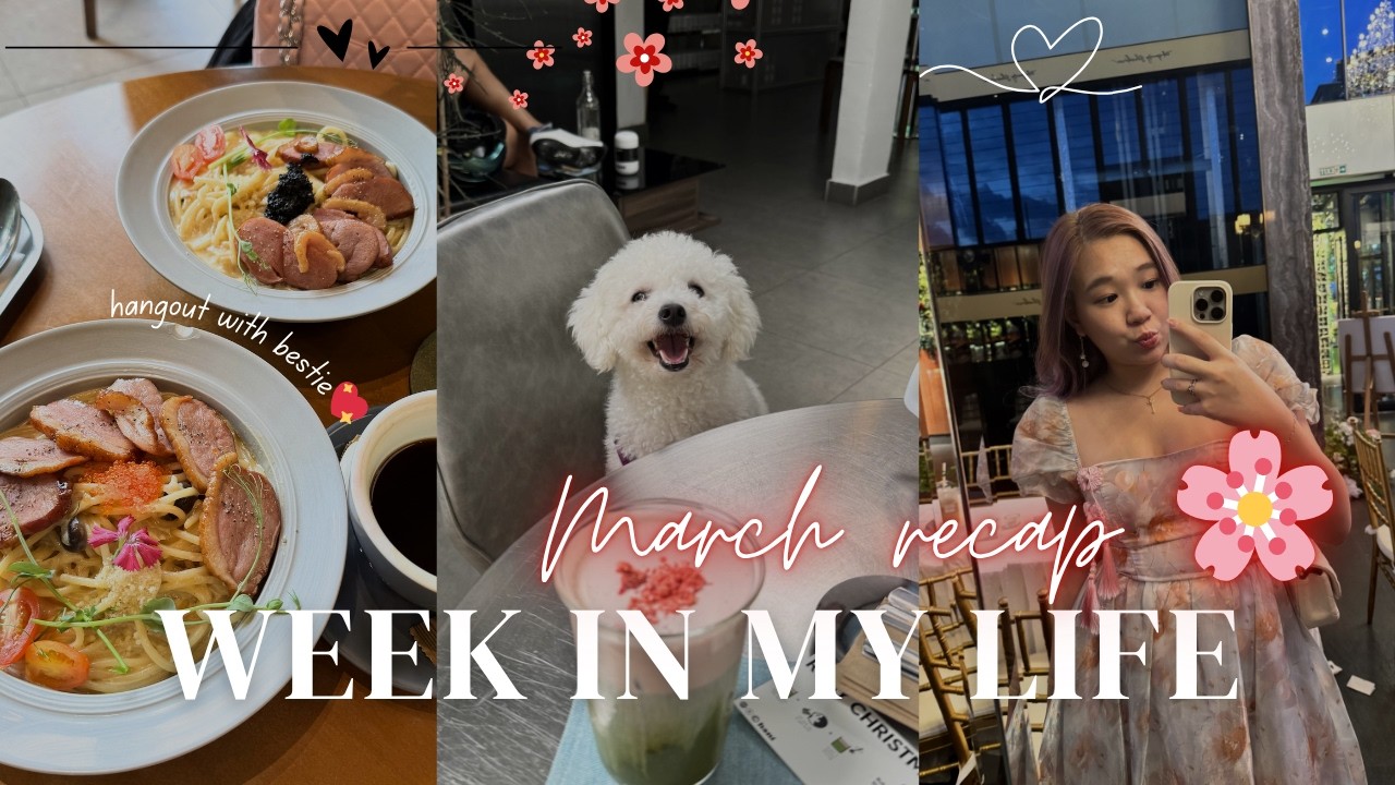 Cozy vlog 🌼| March recap, Building miniature house, Taylor Swift listening party event ✨🫶🏻