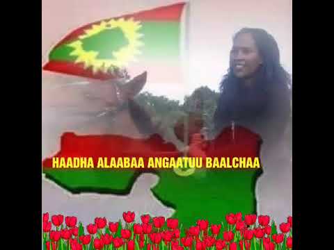 Galle  Boora koo injifannoo cimsadhu!