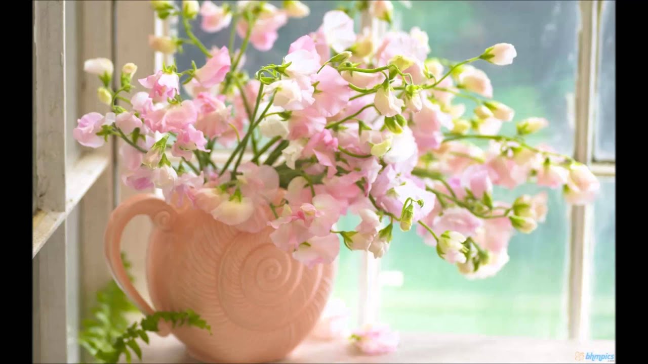 Chaloge Kya Sang Lyrics  | Bhola Shankar | Prem Adib, Vijay Laxmi | Rajkumari Dubey | Snehal Bhatkar