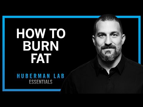 Lose Fat With Science-Based Tools | Huberman Lab Essentials