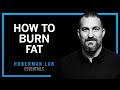Unlocking Fat Loss: The Role of the Nervous System and Effective Strategies