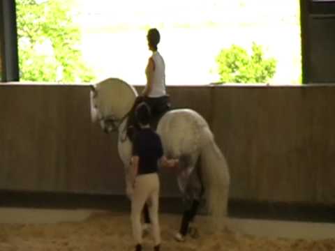 Tiia (FIN) & Rehedição @ Hippikos Portugal 8.4.2011