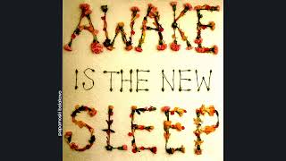 Ben Lee - Whatever It Is, 2005 Awake Is The New Sleep (papamoski balakovo)
