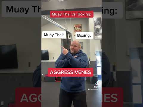 MMA: Fighting, Boxing vs Muay Thai