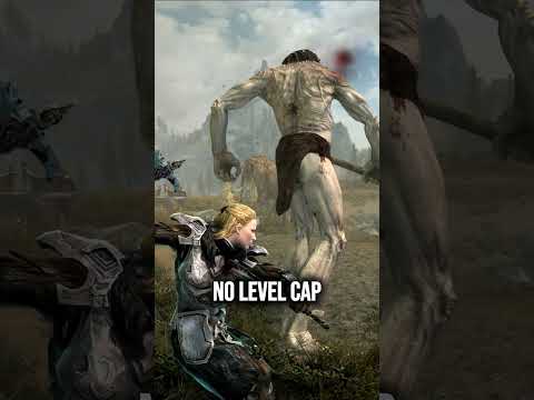 Skyrim's Best Follower