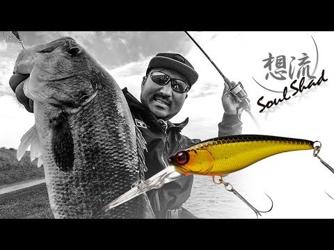 Jackall Soul Shad 45SP 45mm 2.7g POL Chigill SP