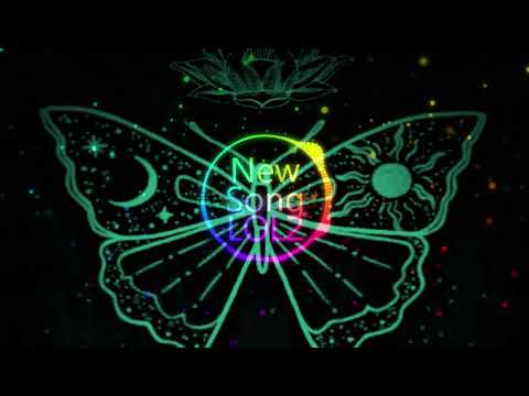 Butterfly²³ - New Song LOL2³